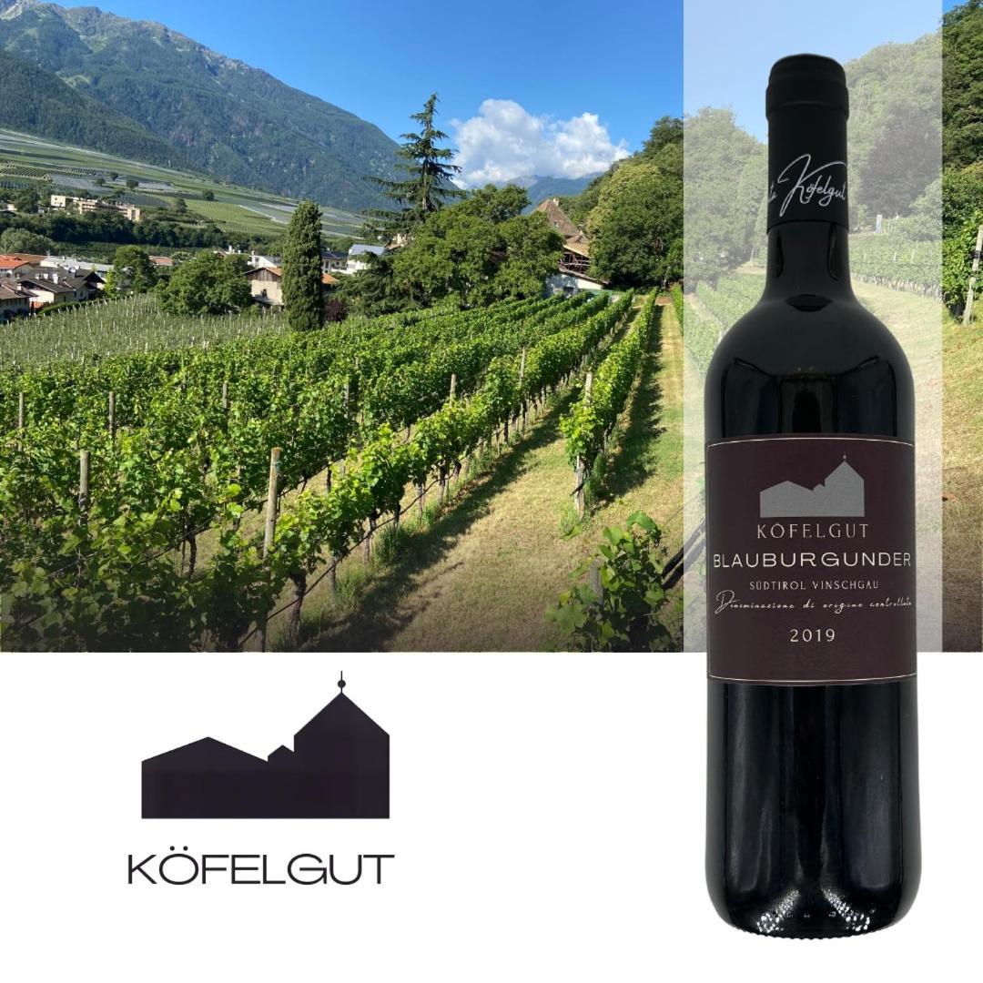 カルテルベッロWeingut Koefelgut - Turris Viniアパートメント エクステリア 写真