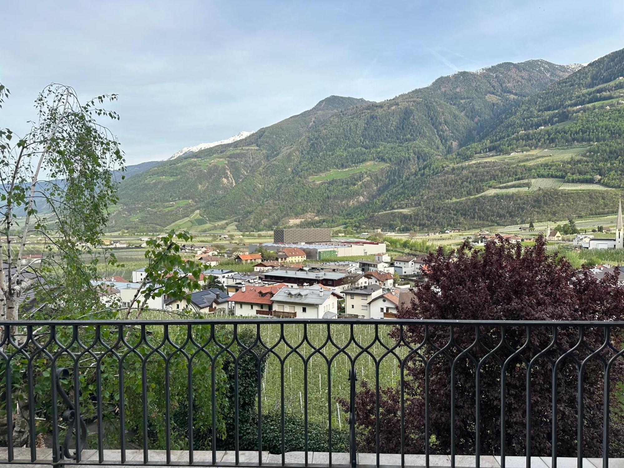 カルテルベッロWeingut Koefelgut - Turris Viniアパートメント エクステリア 写真